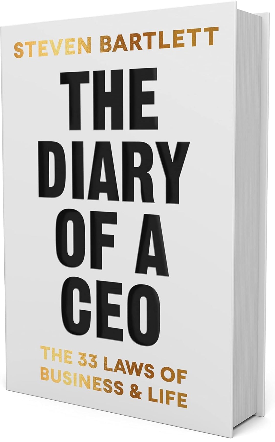 The Diary of a CEO